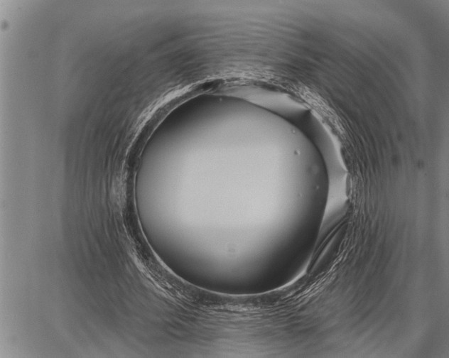 X0000087680580200705181732