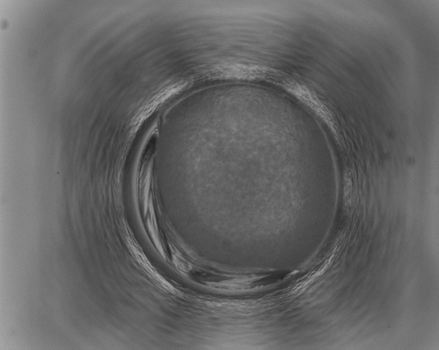 X0000087680581200705181732