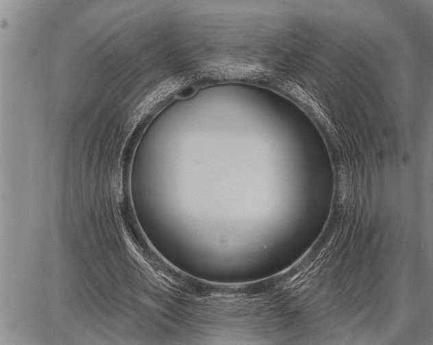 X0000087680582200705181732