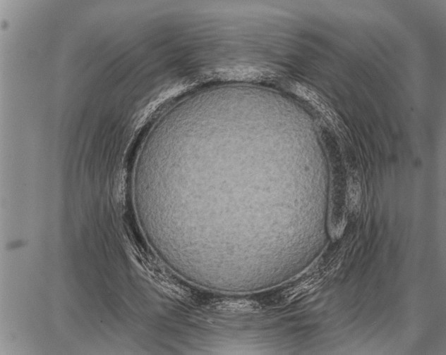 X0000087680583200705181732