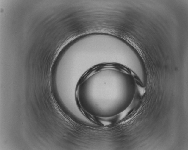 X0000087680584200705181732