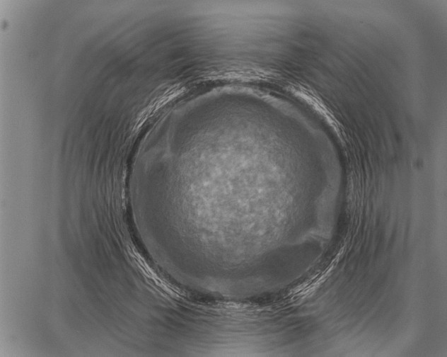 X0000087680585200705181732