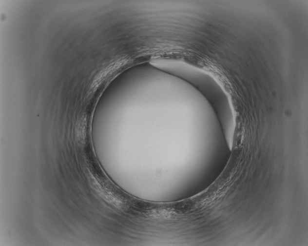 X0000087680586200705181732