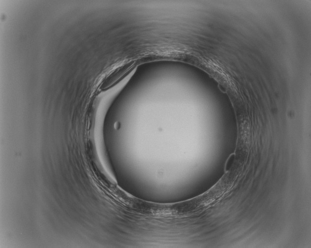 X0000087680587200705181732