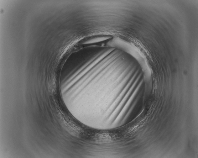 X0000087680588200705181732