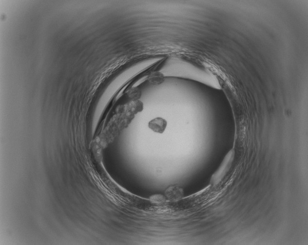 X0000087680589200705181732