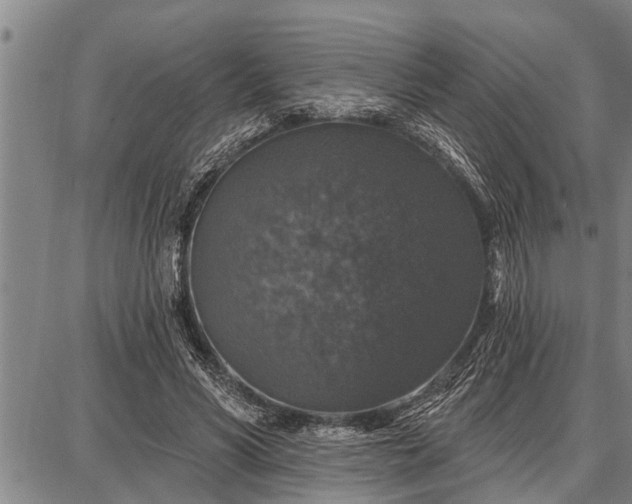 X0000087680590200705181732