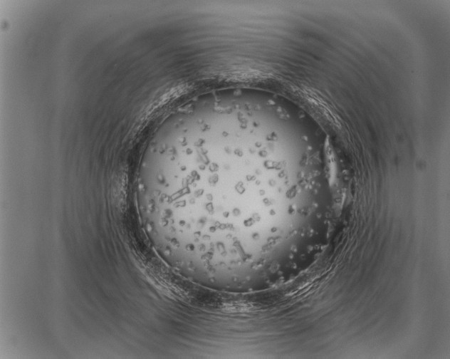 X0000087680591200705181732