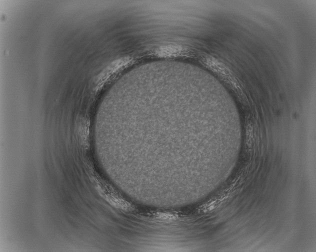 X0000087680592200705181732