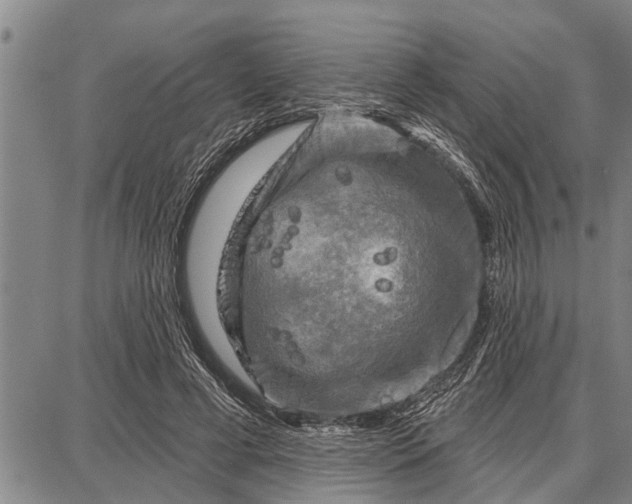 X0000087680593200705181732