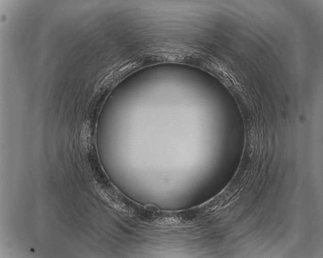 X0000087680594200705181731