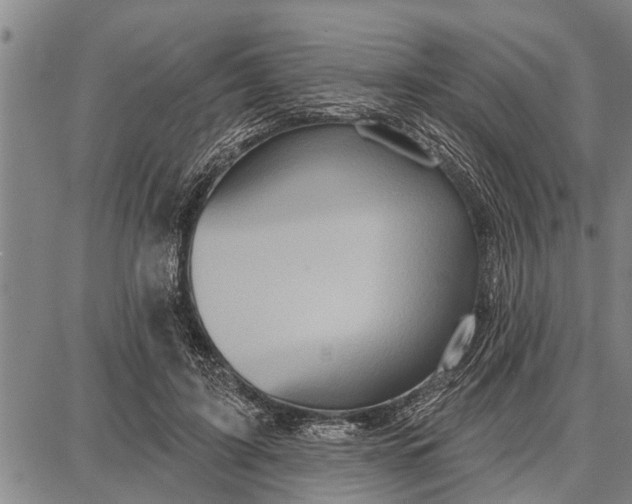 X0000087680595200705181731