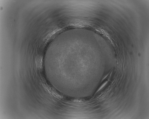 X0000087680596200705181731