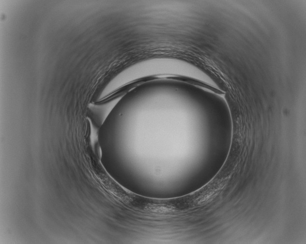 X0000087680597200705181731