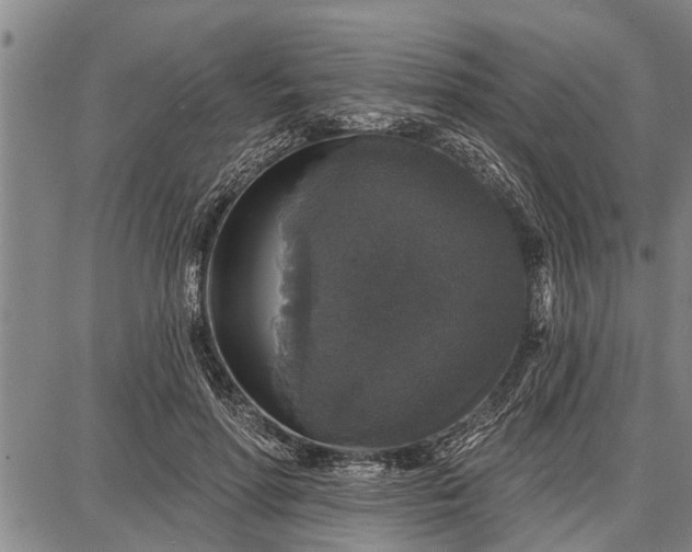 X0000087680598200705181731