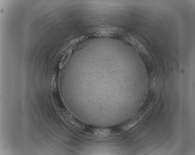 X0000087680599200705181731