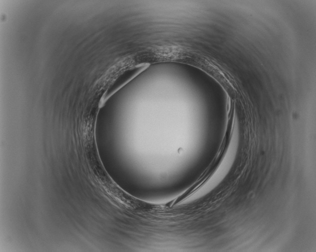 X0000087680601200705181731