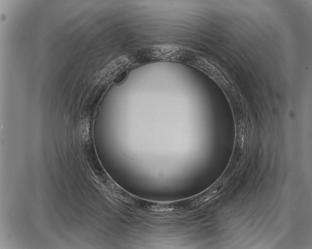 X0000087680602200705181731