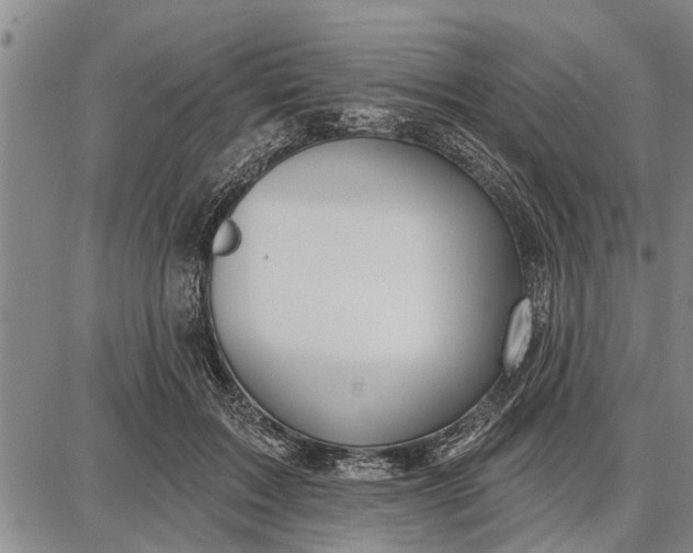 X0000087680603200705181731