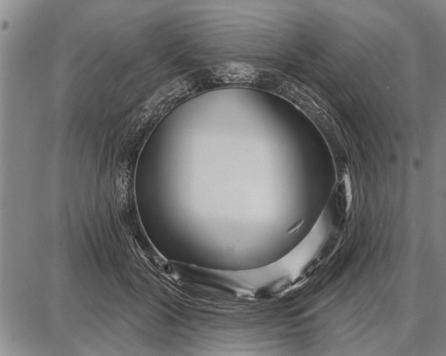 X0000087680604200705181731