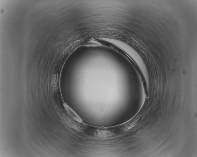 X0000087680605200705181731