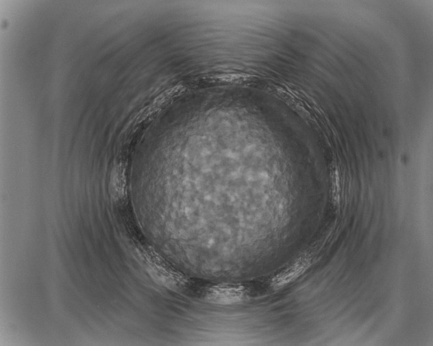 X0000087680606200705181731