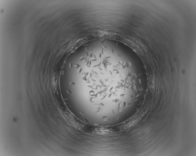 X0000087680607200705181731