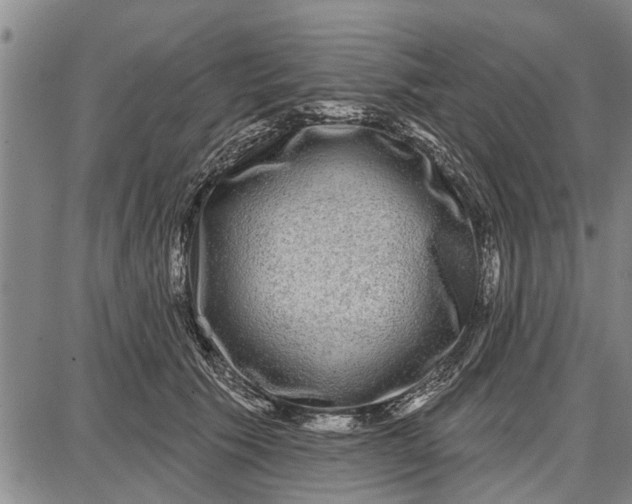 X0000087680609200705181731