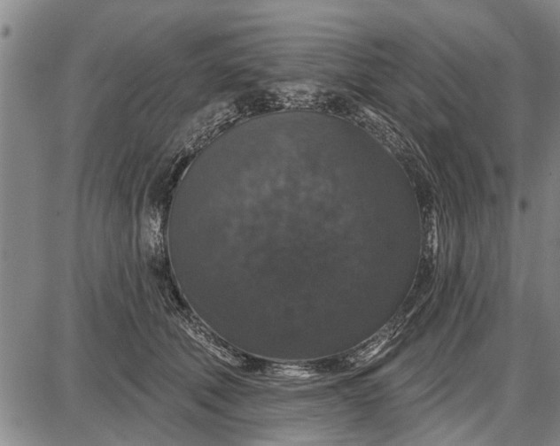 X0000087680610200705181731