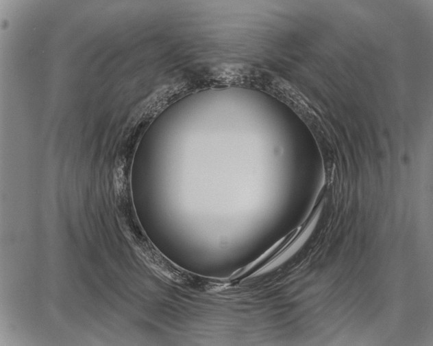 X0000087680611200705181731