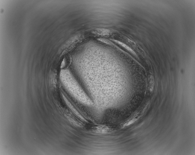 X0000087680612200705181731