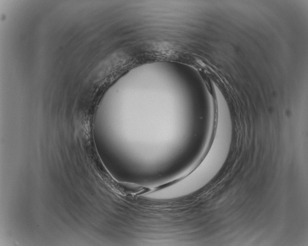 X0000087680613200705181731