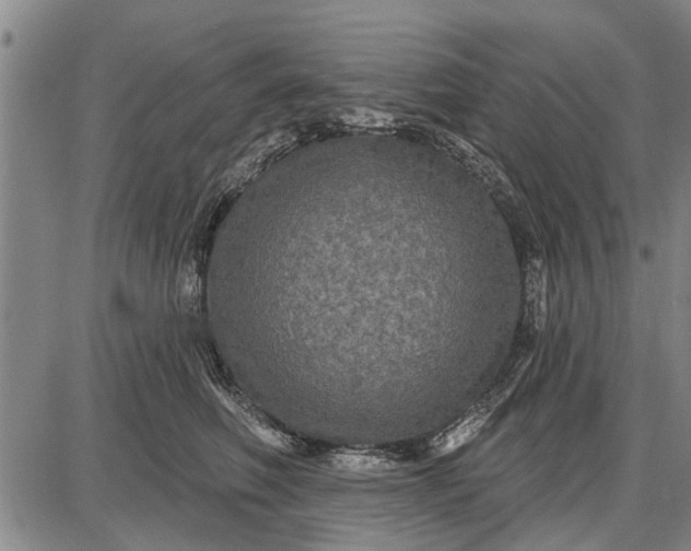 X0000087680614200705181731