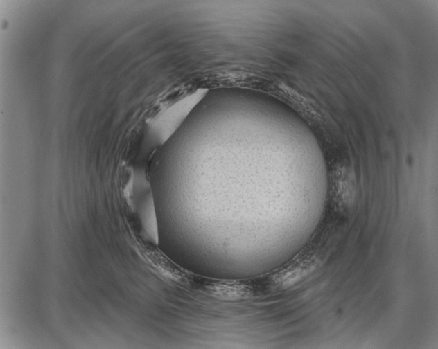 X0000087680615200705181731