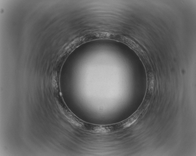 X0000087680616200705181731