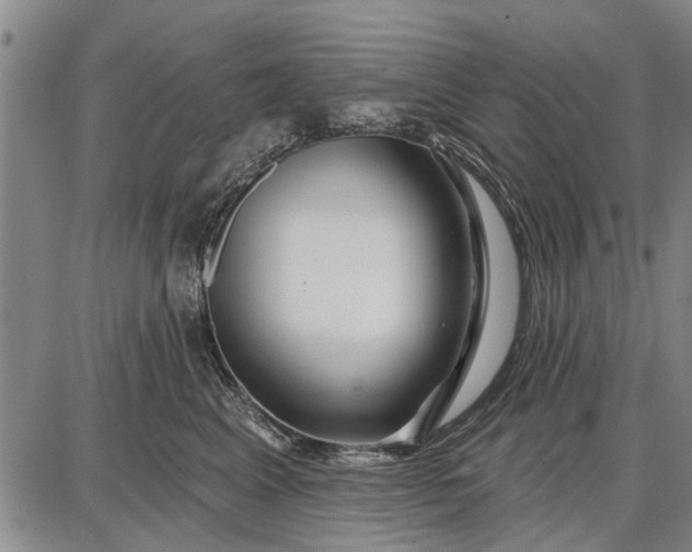 X0000087680617200705181731