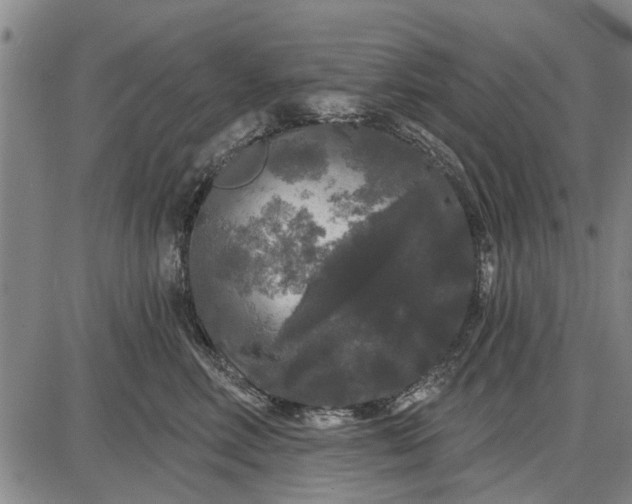 X0000087680618200705181731