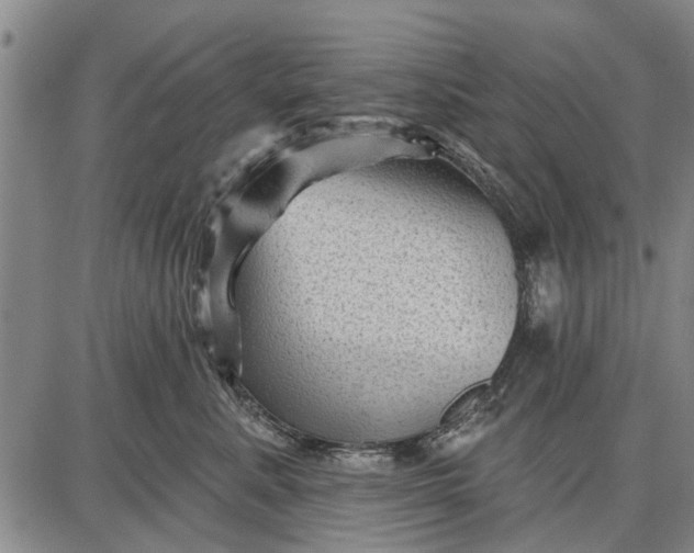 X0000087680619200705181731