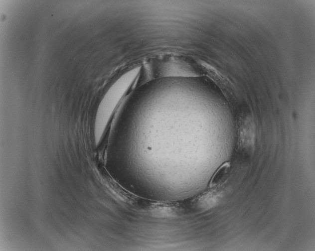 X0000087680620200705181731