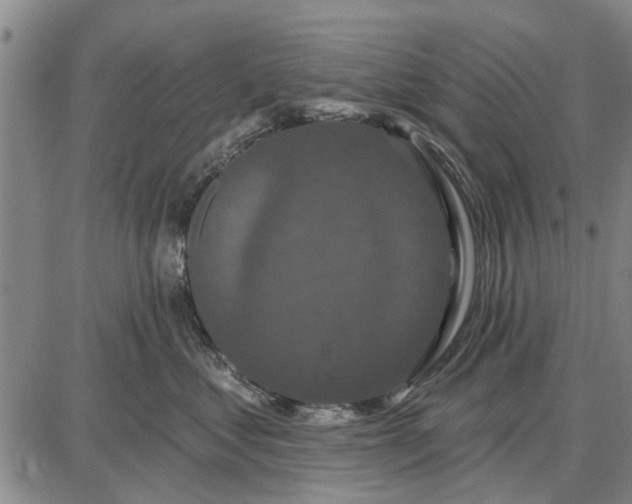 X0000087680621200705181731