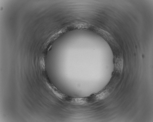 X0000087680622200705181731