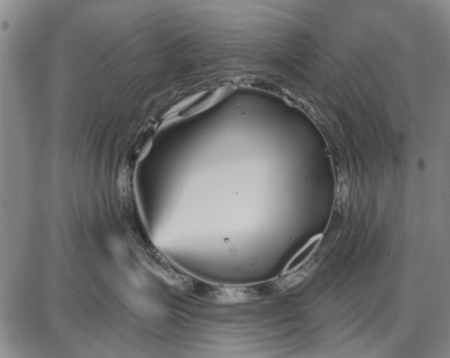 X0000087680623200705181731