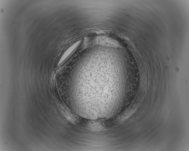 X0000087680624200705181731