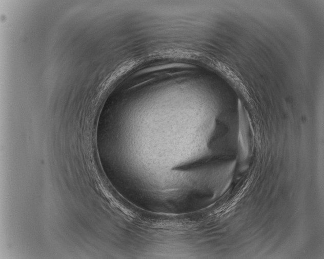 X0000087680625200705181730