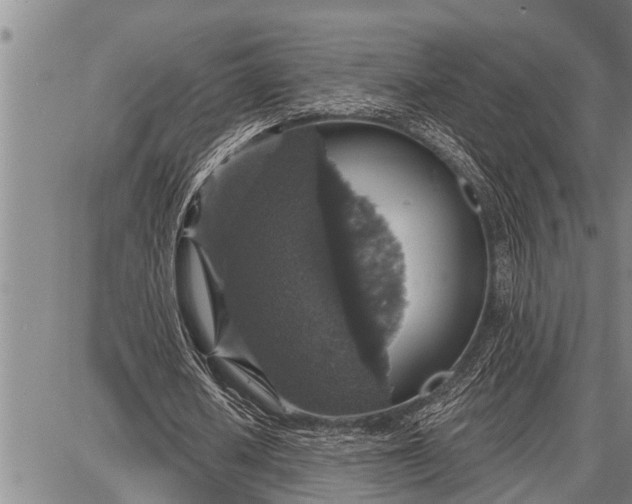 X0000087680626200705181730