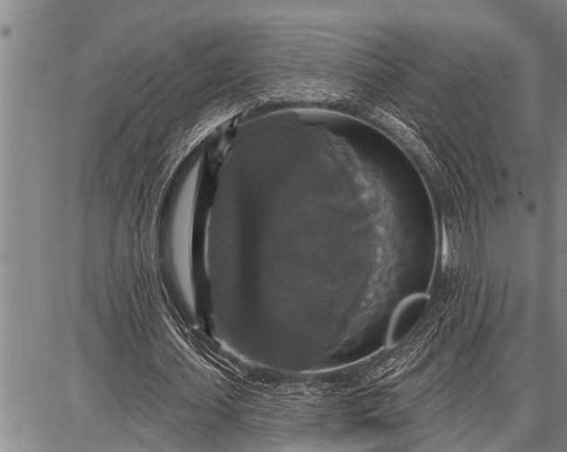 X0000087680627200705181730