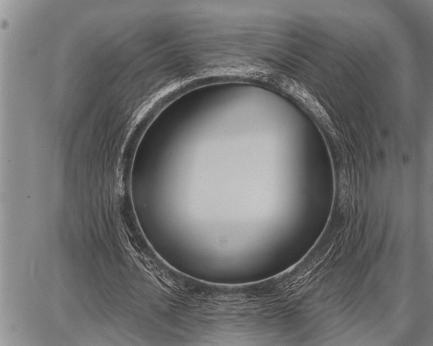 X0000087680628200705181730