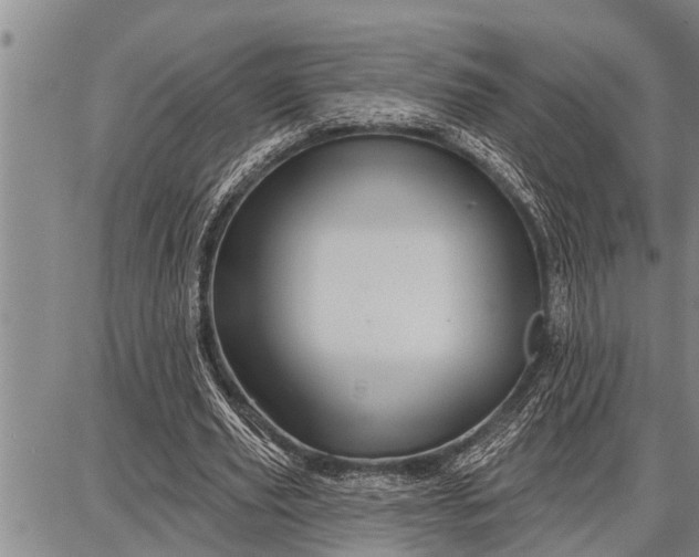 X0000087680629200705181730