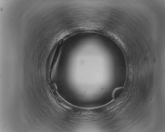 X0000087680631200705181730