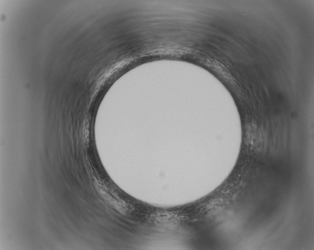 X0000087680632200705181730